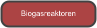 Biogasreaktoren